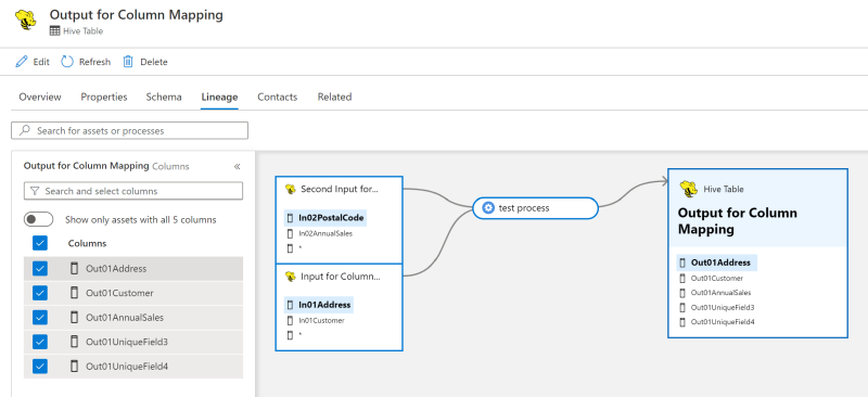 Column Mapping visualizes how one or many input columns map to one or many output columns through a given process.